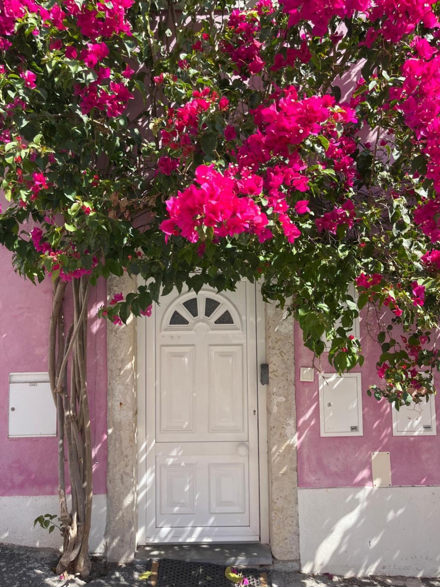Appartement Casa Cor De Rosa à Lisboa Extérieur photo