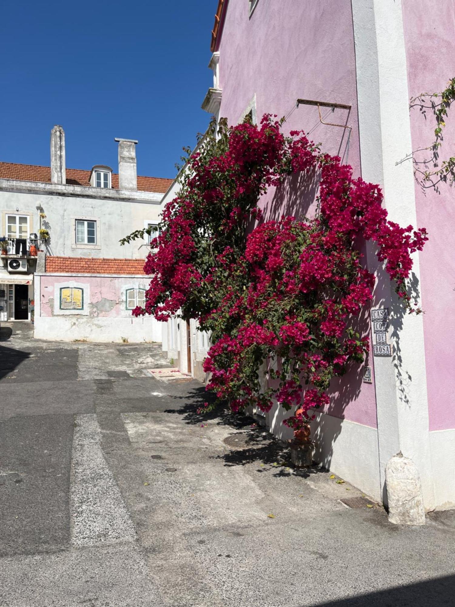 Appartement Casa Cor De Rosa à Lisboa Extérieur photo