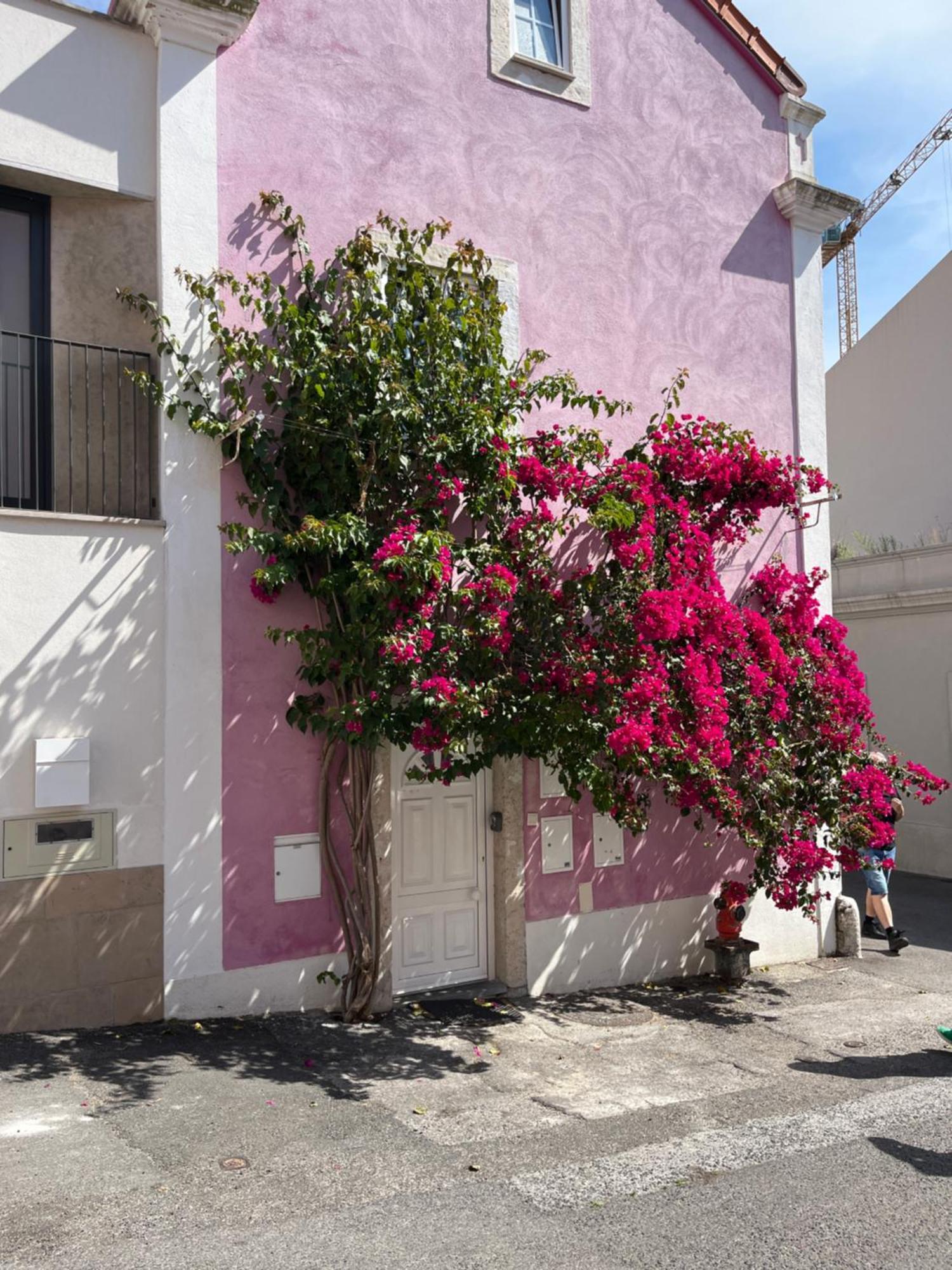 Appartement Casa Cor De Rosa à Lisboa Extérieur photo